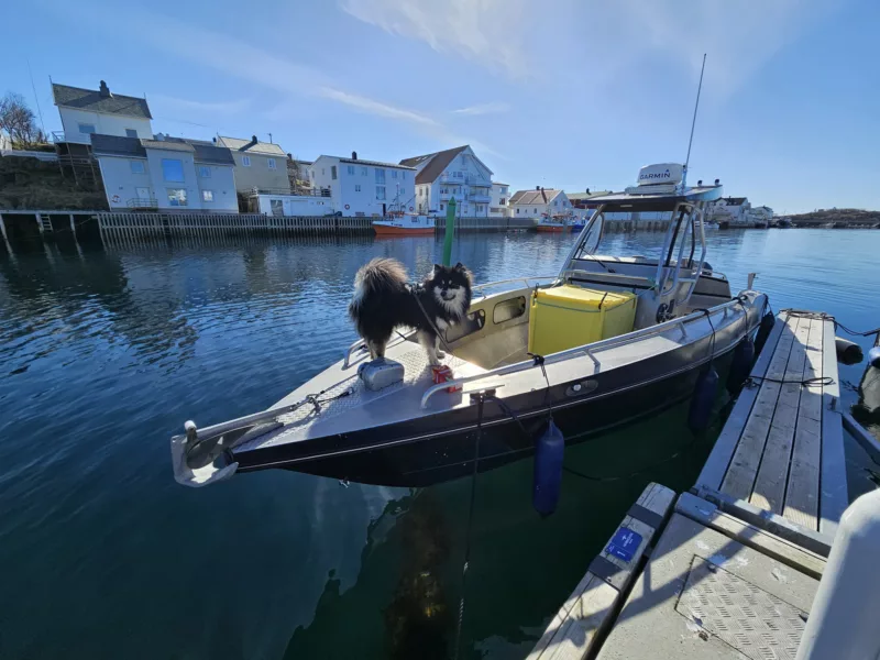 Kaasbøll 760 HT med 300 hk Mercury Verado